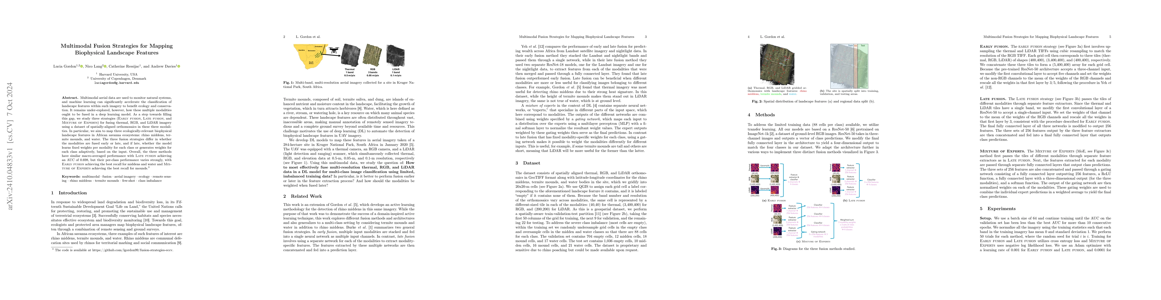 Thumbnail for Multimodal Fusion Strategies for Mapping Biophysical Landscape Features
