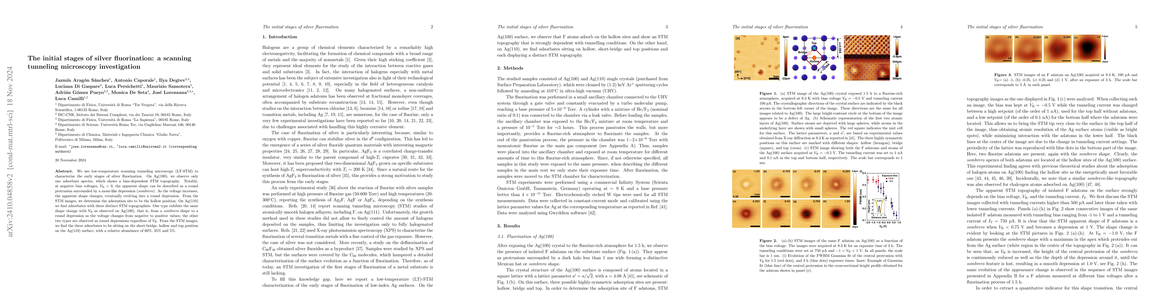 Thumbnail for The initial stages of silver fluorination: a scanning tunneling
  microscopy investigation