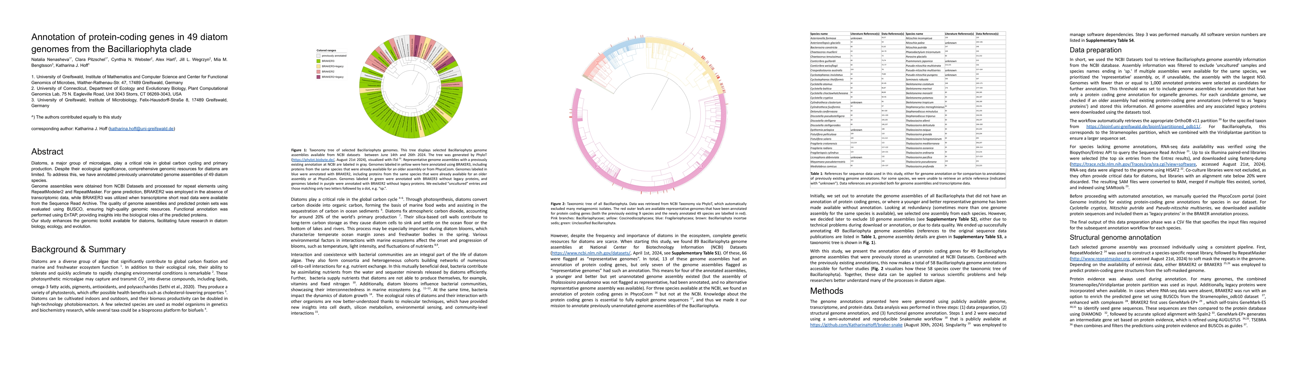 Thumbnail for Annotation of protein-coding genes in 49 diatom genomes from the
  Bacillariophyta clade