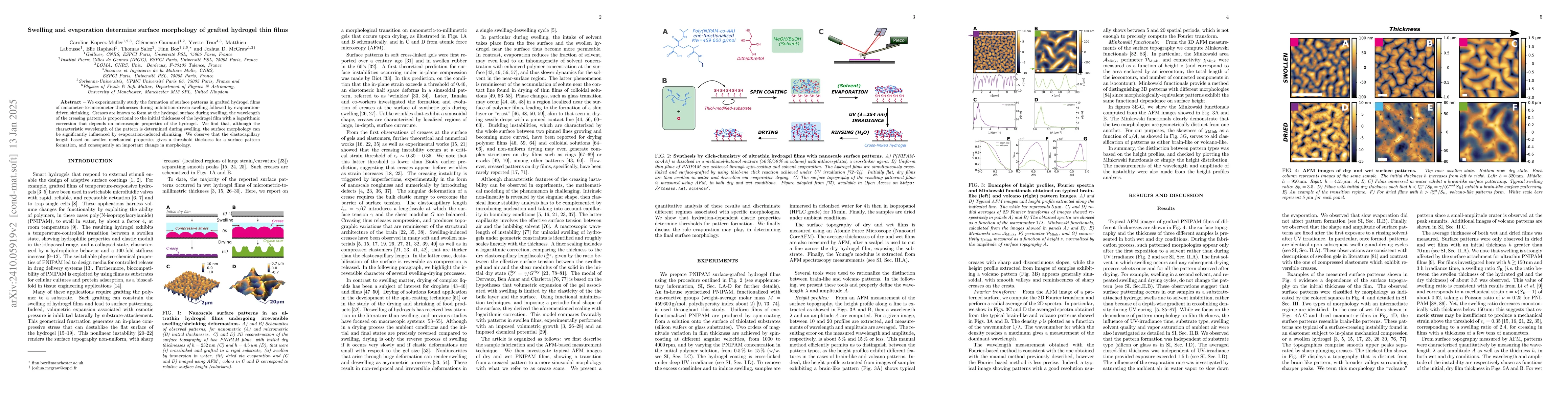 Thumbnail for Swelling and evaporation determine surface morphology of grafted
  hydrogel thin films
