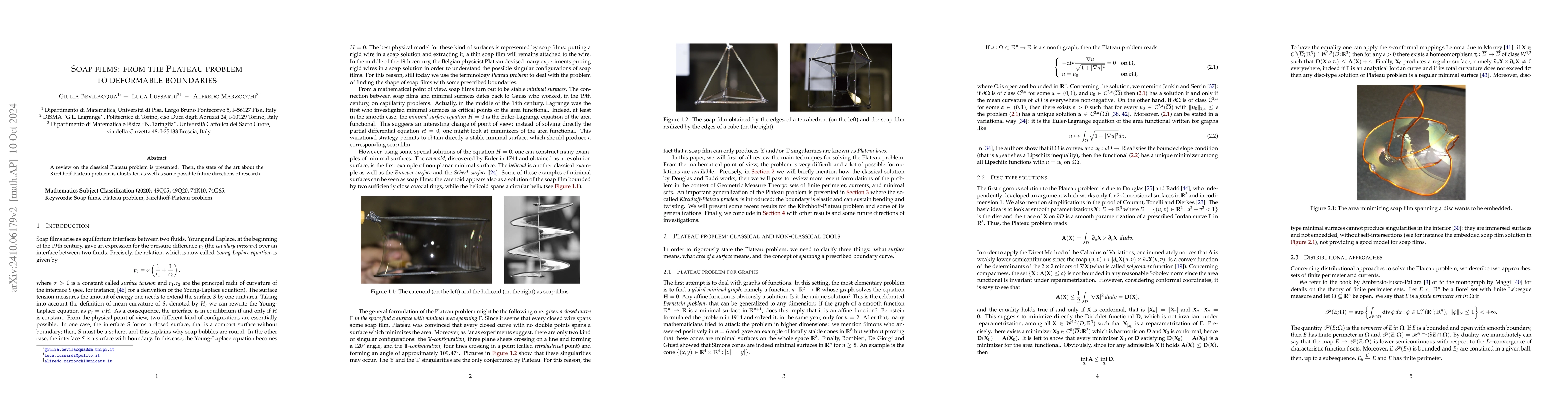 Thumbnail for Soap films: from the Plateau problem to deformable boundaries