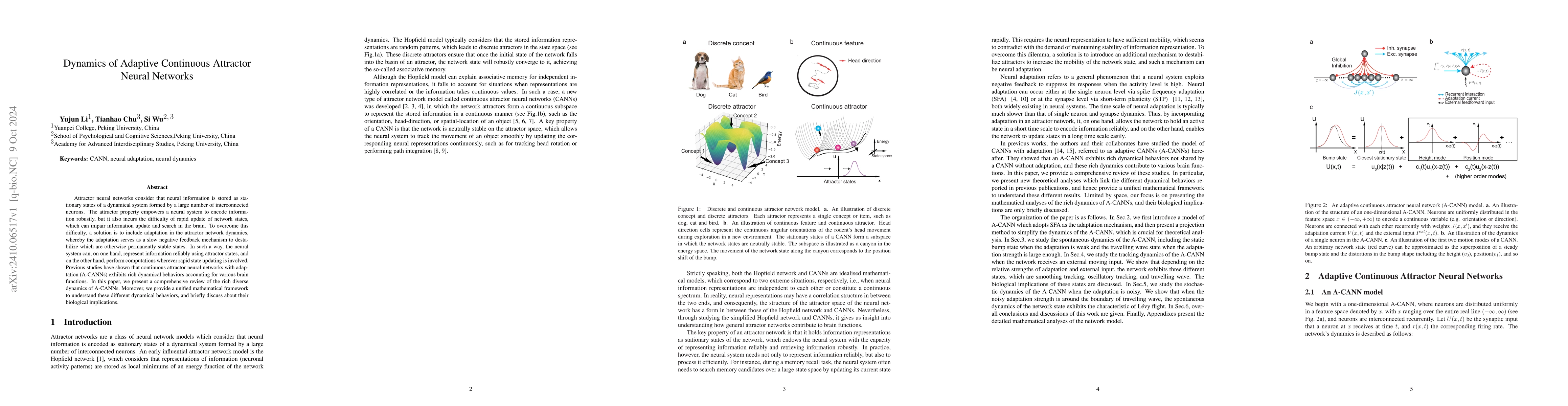 Thumbnail for Dynamics of Adaptive Continuous Attractor Neural Networks