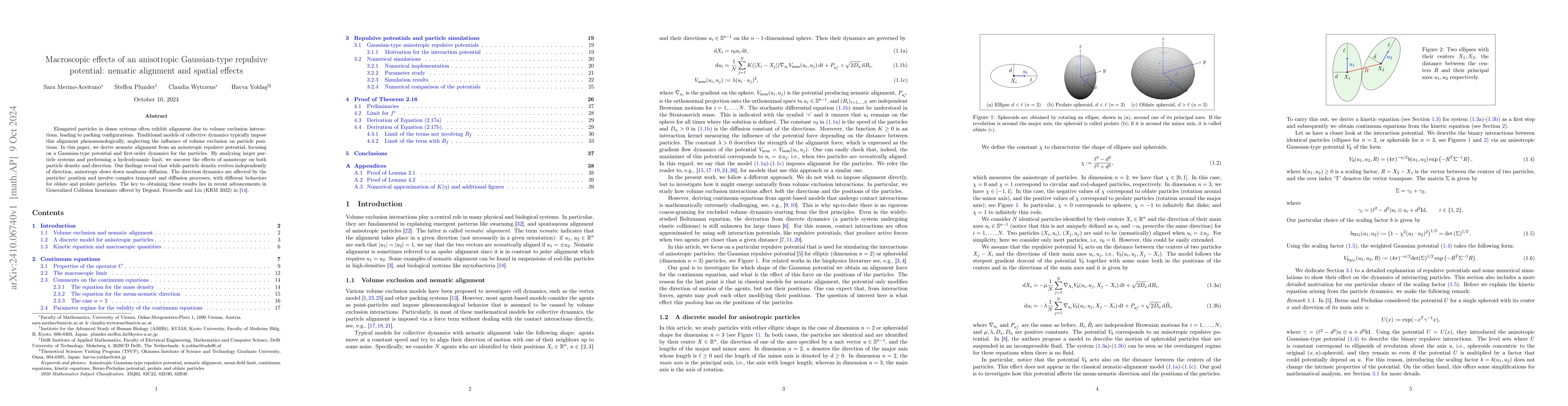Thumbnail for Macroscopic effects of an anisotropic Gaussian-type repulsive potential:
  nematic alignment and spatial effects