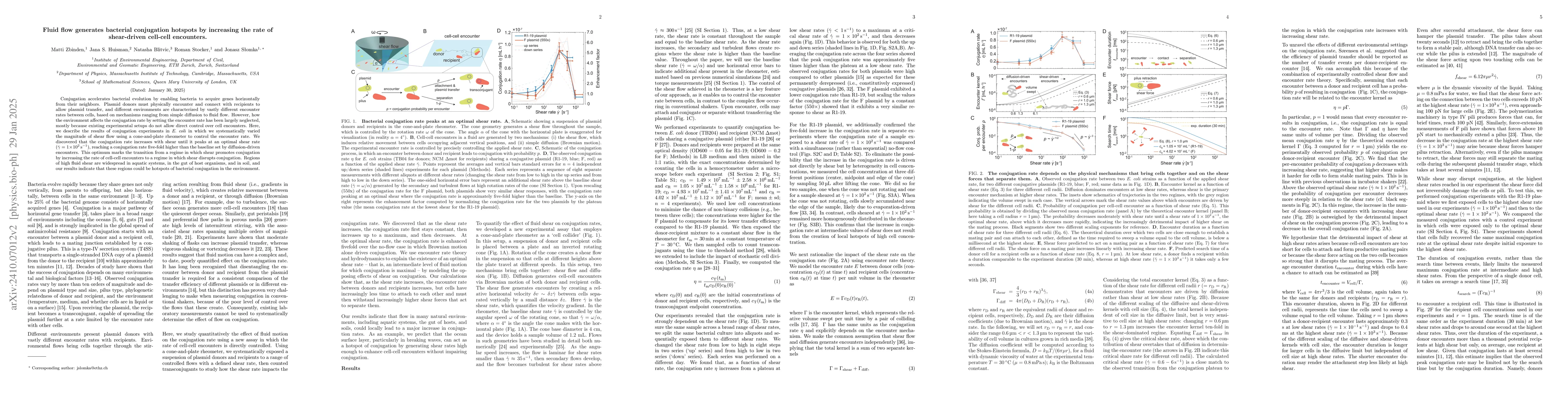 Thumbnail for Fluid flow generates bacterial conjugation hotspots by increasing the
  rate of shear-driven cell-cell encounters