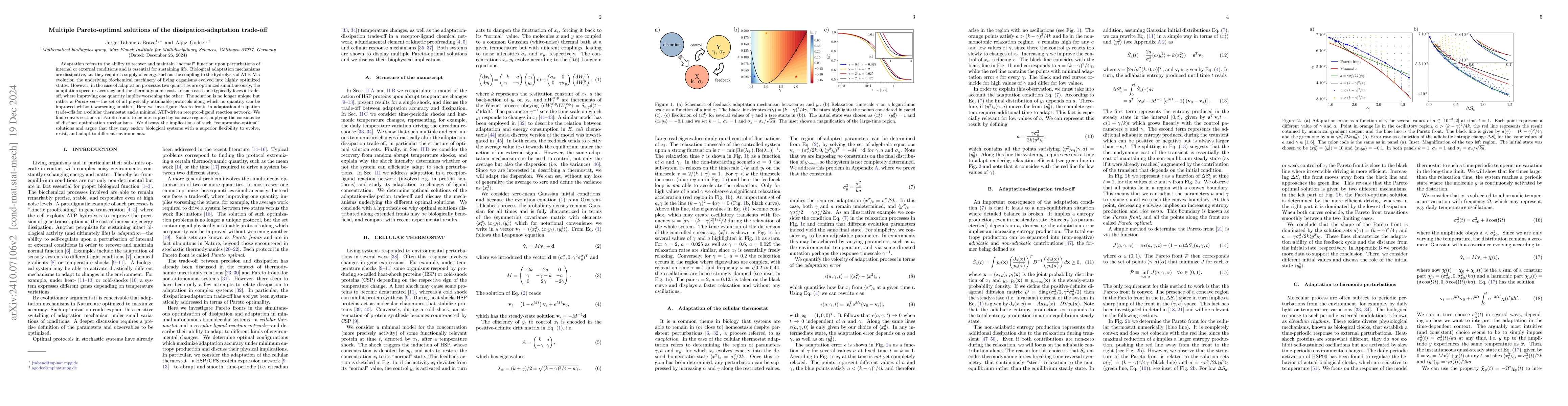 Thumbnail for Multiple Pareto-optimal solutions of the dissipation-adaptation
  trade-off