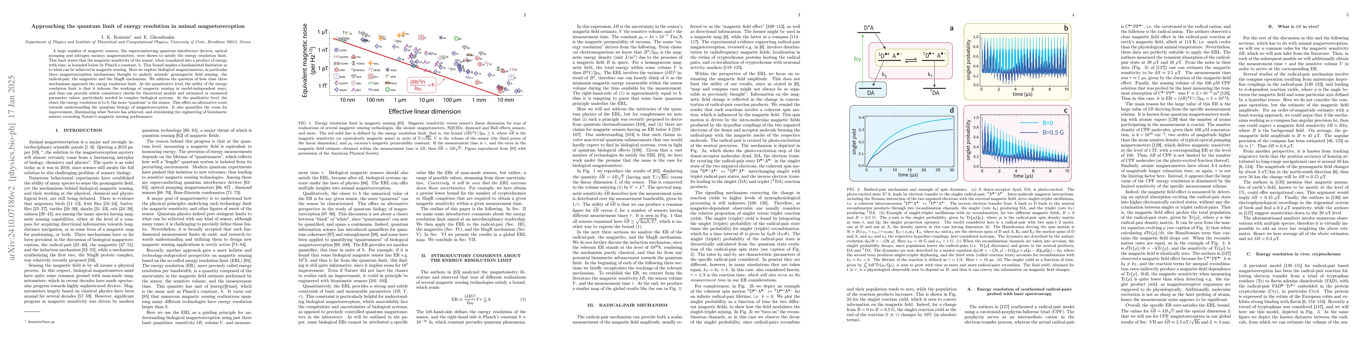 Thumbnail for Is animal magnetoreception quantum? A perspective from the energy
  resolution limit