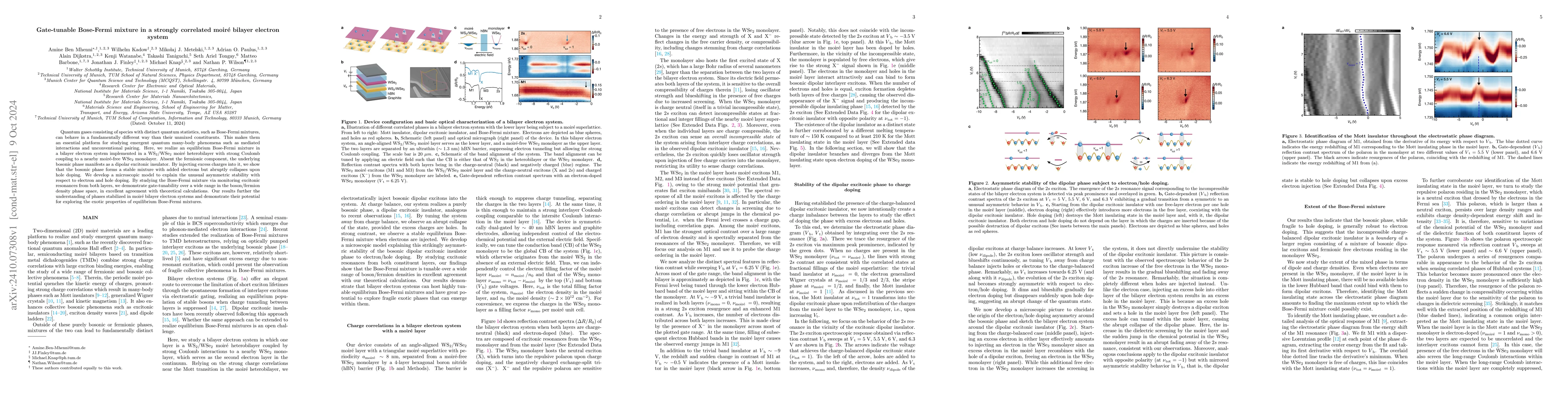 Thumbnail for Gate-tunable Bose-Fermi mixture in a strongly correlated moiré bilayer
  electron system