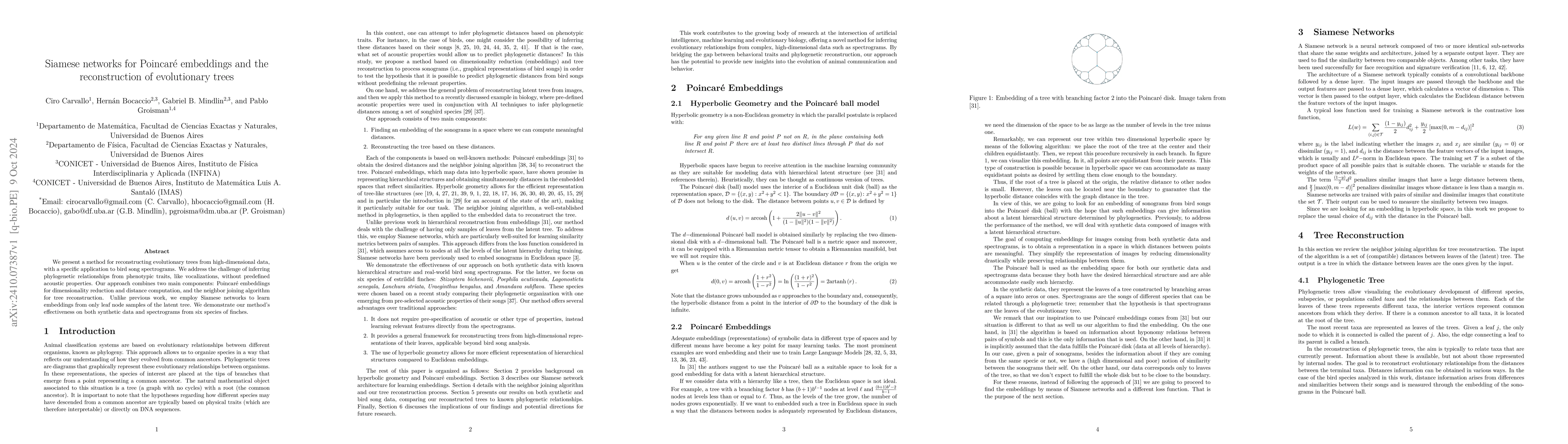 Thumbnail for Siamese networks for Poincaré embeddings and the reconstruction of
  evolutionary trees