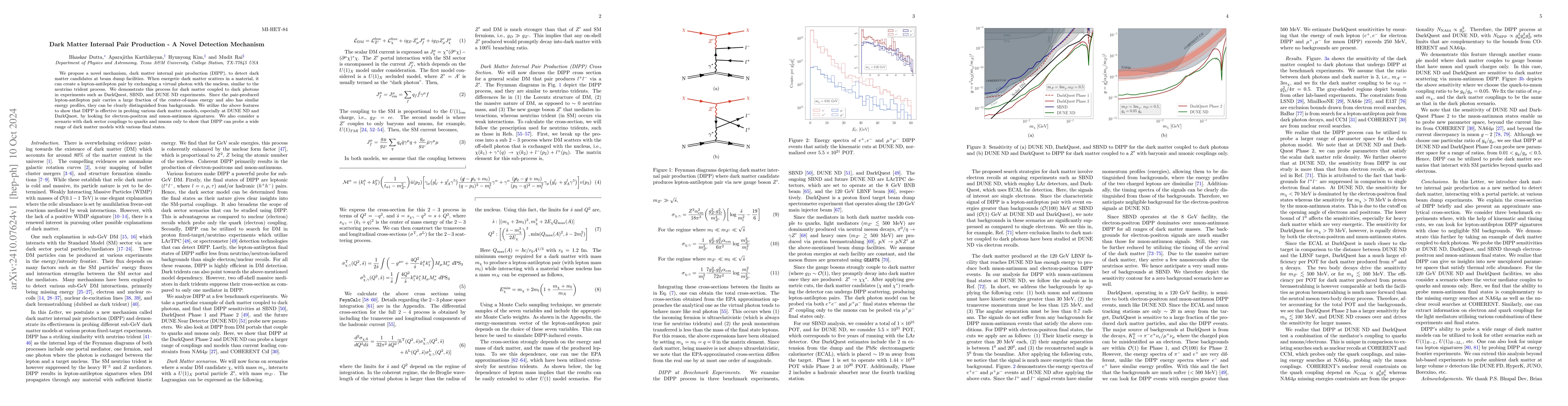Thumbnail for Dark Matter Internal Pair Production -- A Novel Detection Mechanism
