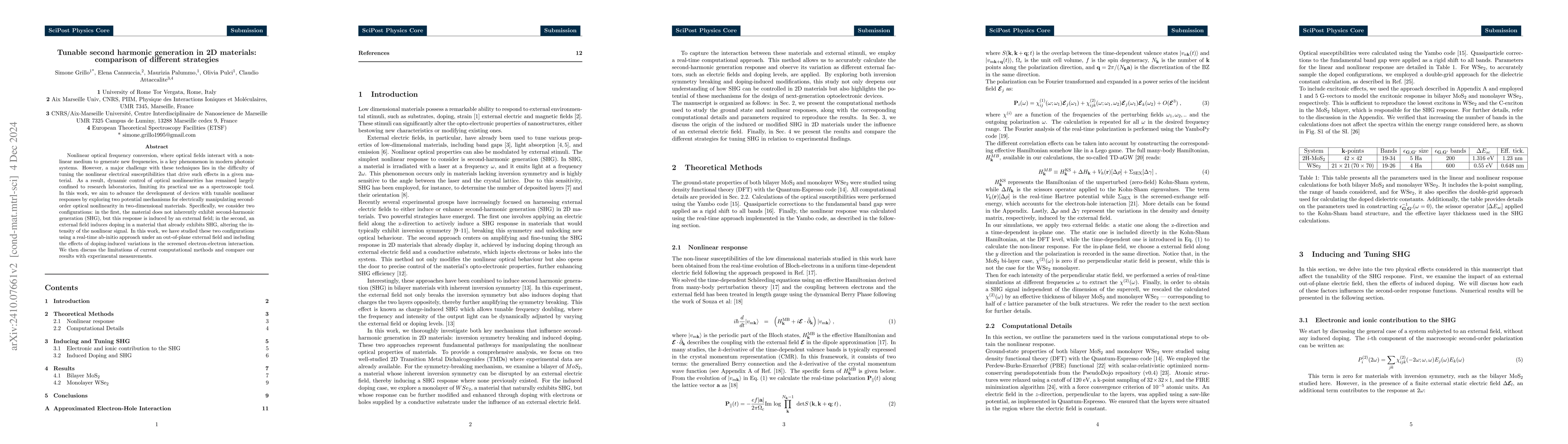 Thumbnail for Tunable second harmonic generation in 2D materials: comparison of
  different strategies