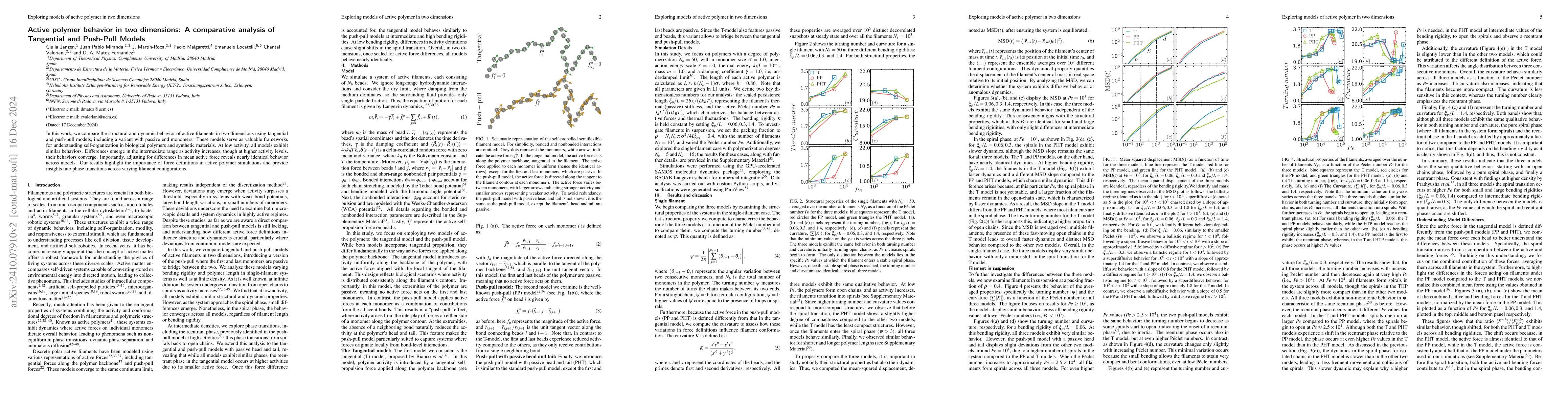 Thumbnail for Active Polymer Behavior in Two Dimensions: A Comparative Analysis of
  Tangential and Push-Pull Models