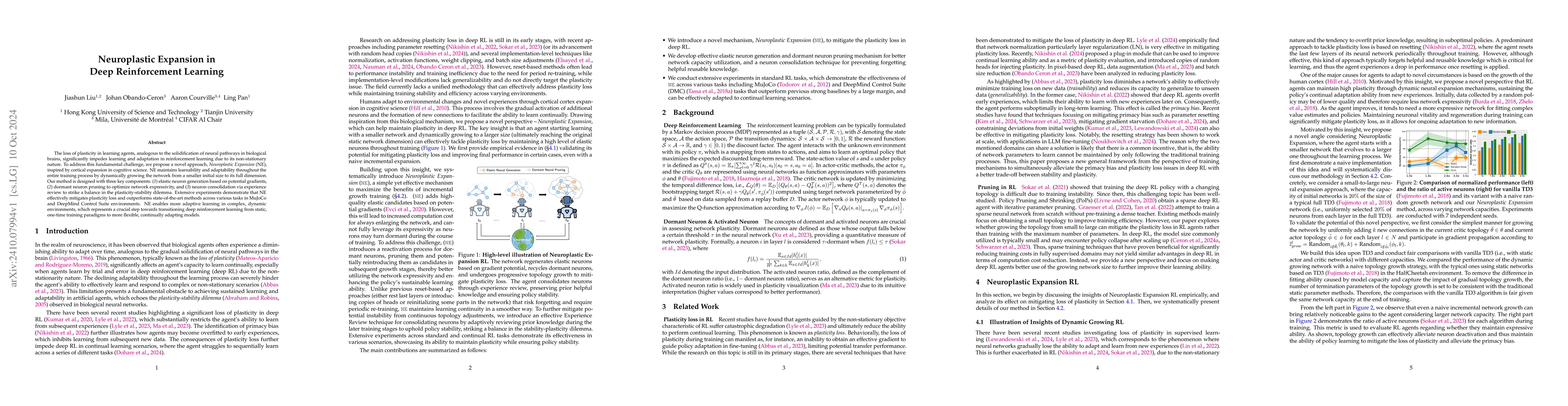 Thumbnail for Neuroplastic Expansion in Deep Reinforcement Learning