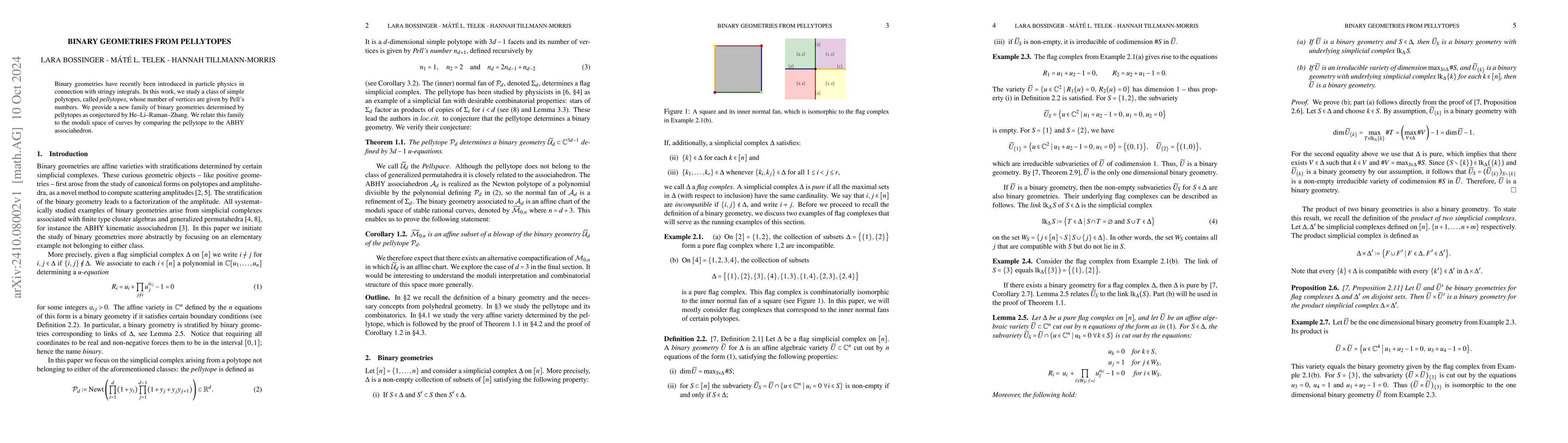 Thumbnail for Binary geometries from pellytopes