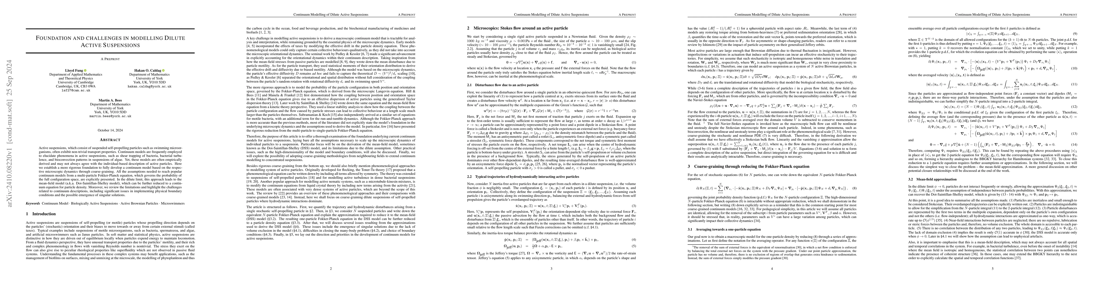 Thumbnail for Foundation and challenges in modelling Dilute Active Suspensions
