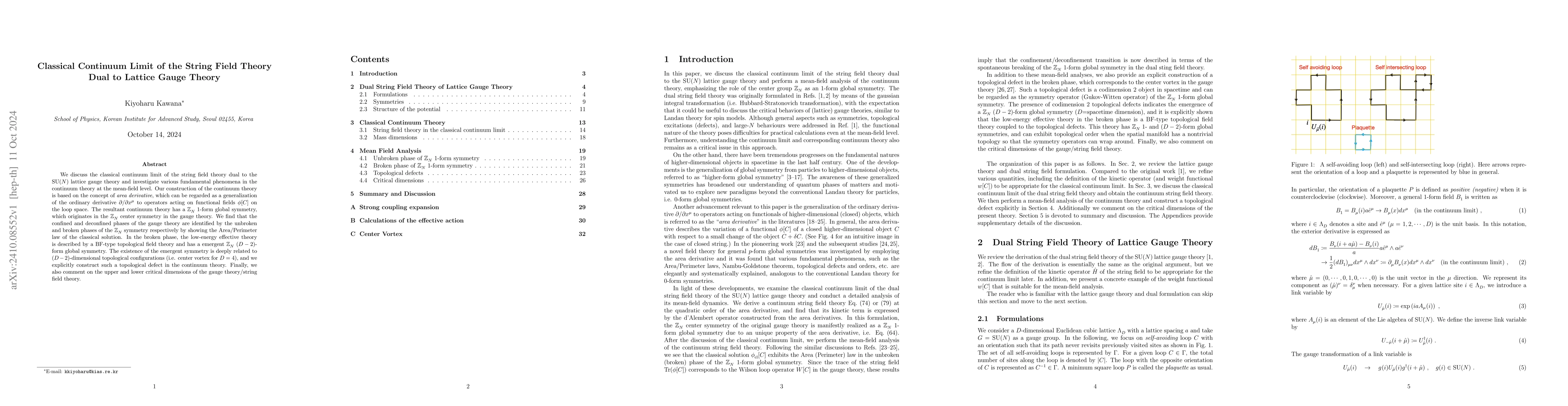 Thumbnail for Classical Continuum Limit of the String Field Theory Dual to Lattice
  Gauge Theory