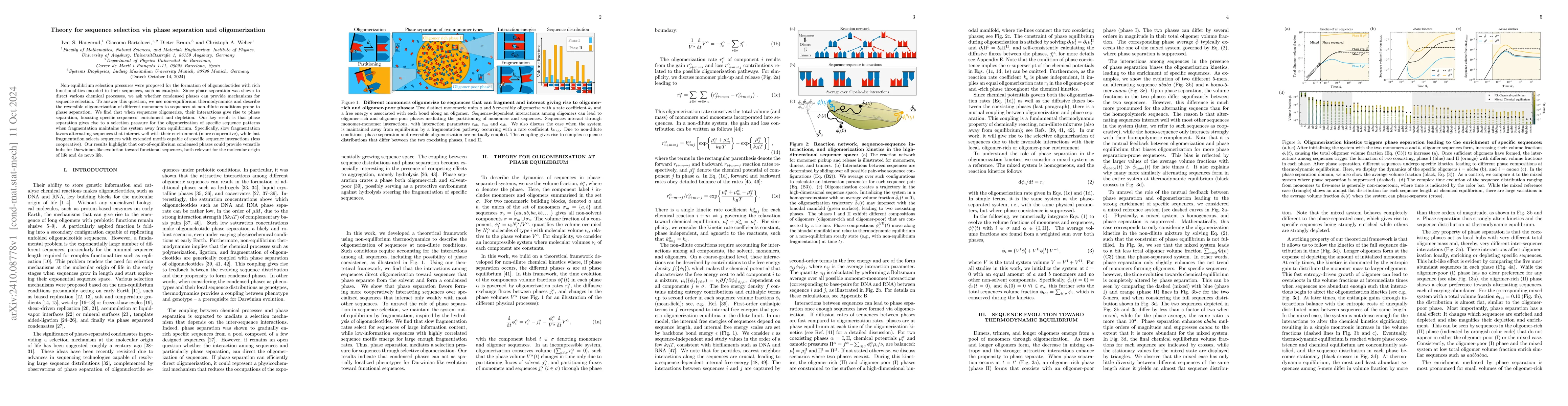 Thumbnail for Theory for sequence selection via phase separation and oligomerization
