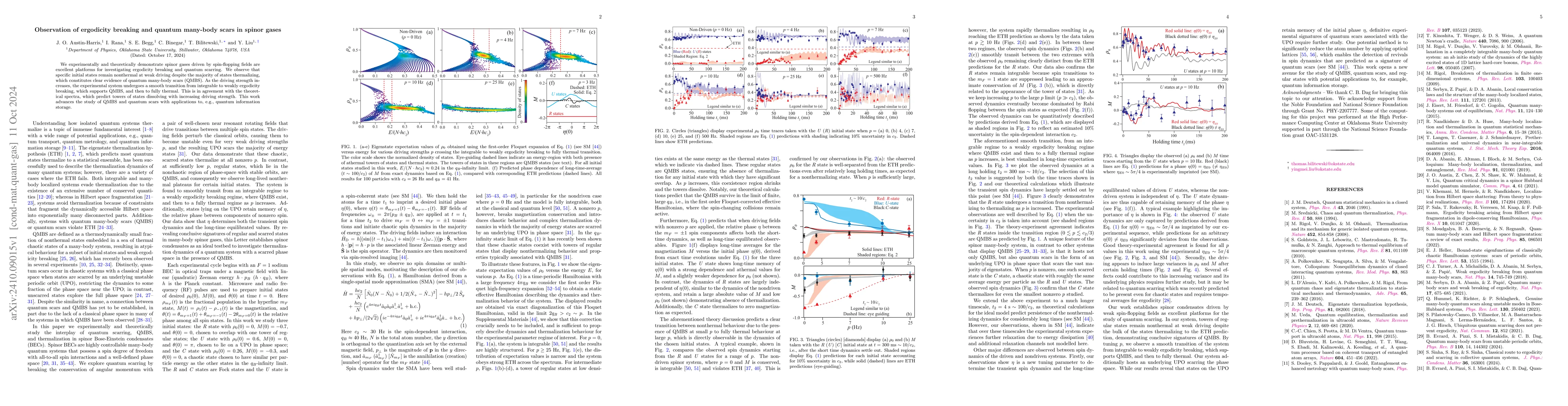 Thumbnail for Observation of ergodicity breaking and quantum many-body scars in spinor
  gases