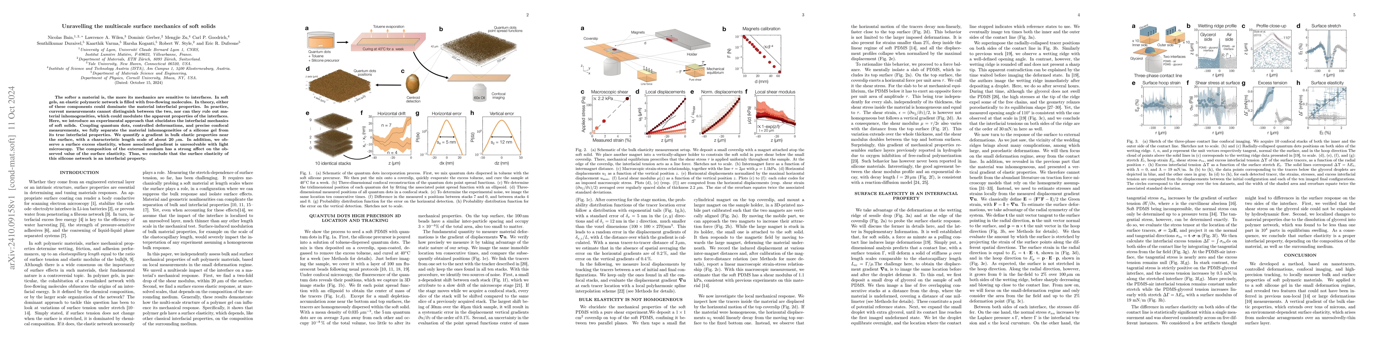 Thumbnail for Unravelling the multiscale surface mechanics of soft solids