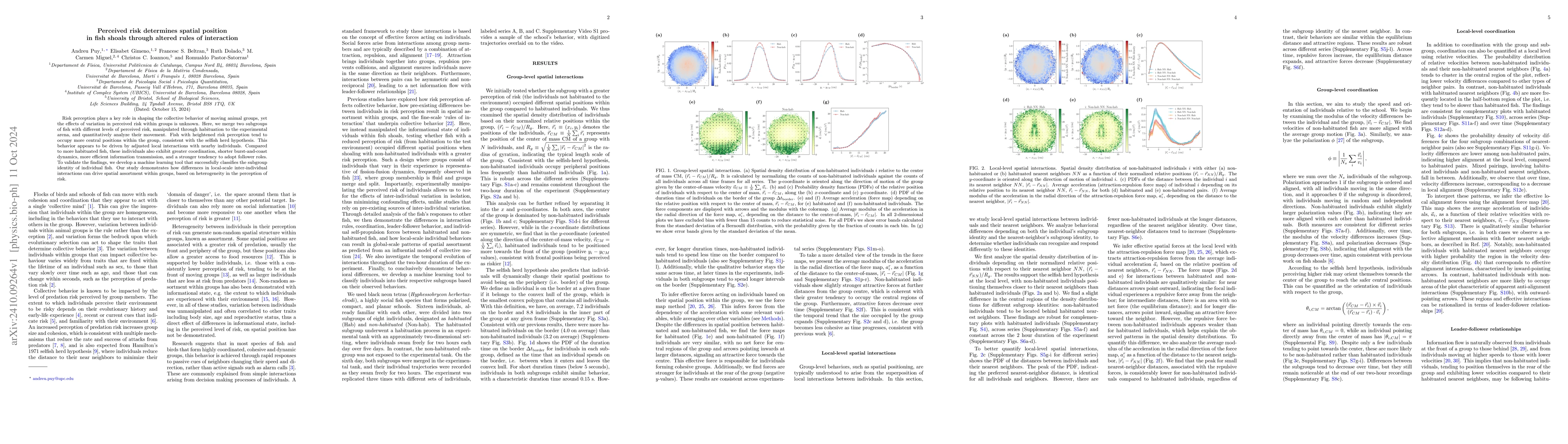 Thumbnail for Perceived risk determines spatial position in fish shoals through
  altered rules of interaction