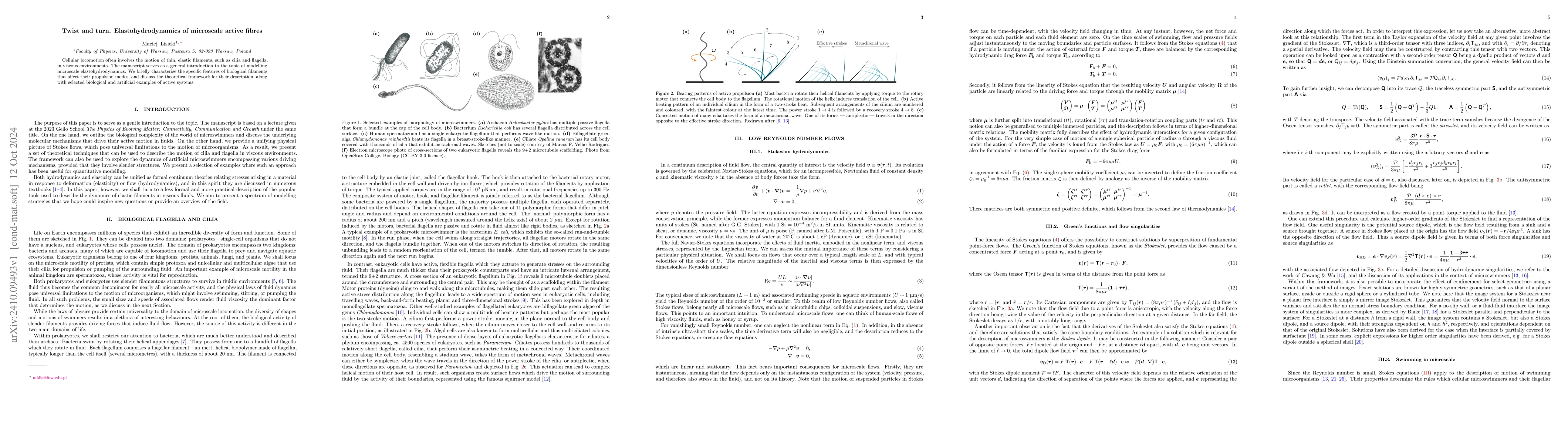 Thumbnail for Twist and turn. Elastohydrodynamics of microscale active fibres