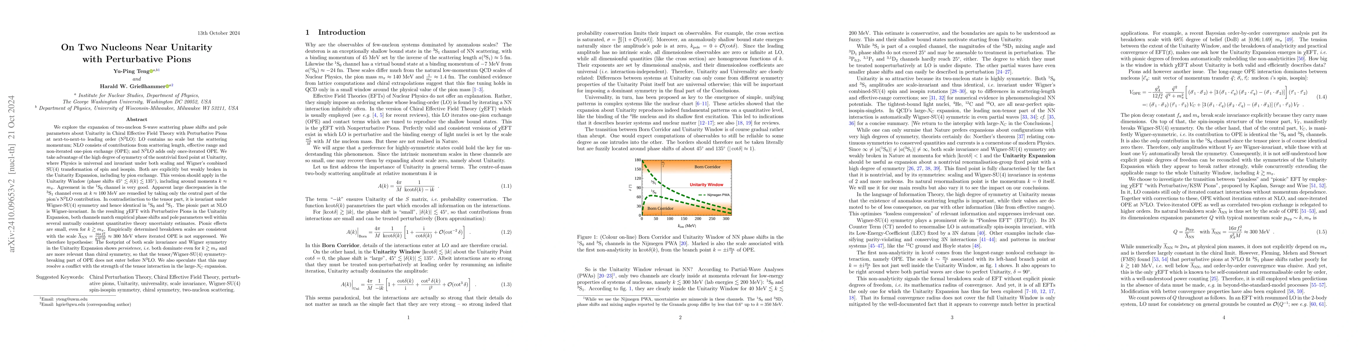 Thumbnail for On Two Nucleons Near Unitarity with Perturbative Pions