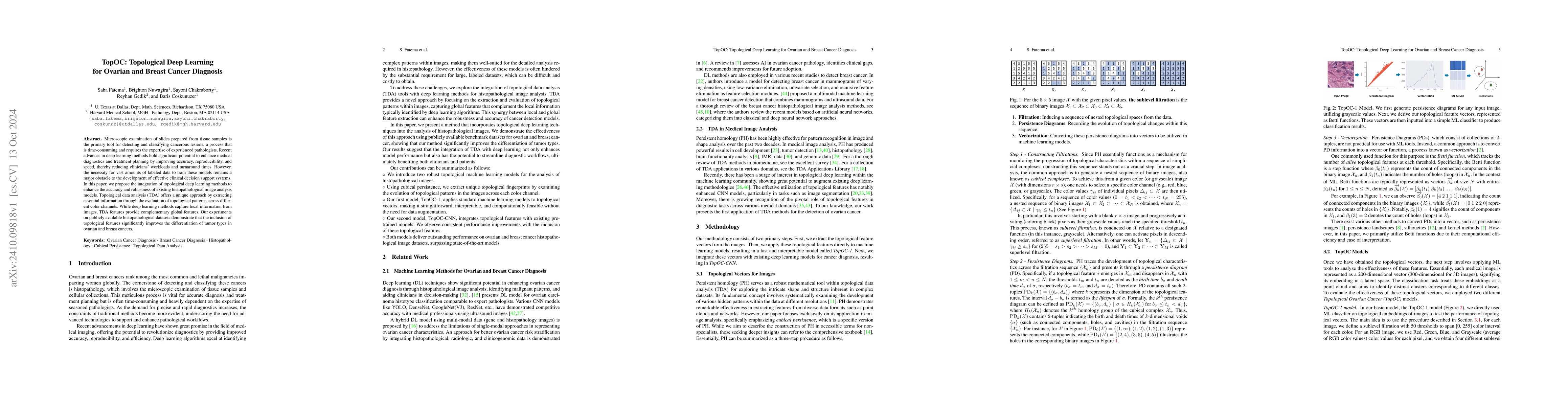 Thumbnail for TopOC: Topological Deep Learning for Ovarian and Breast Cancer Diagnosis