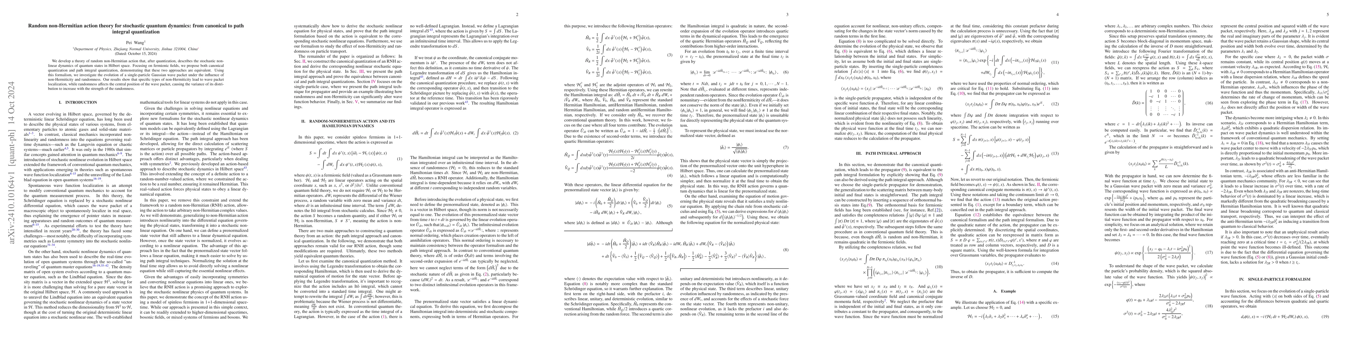 Thumbnail for Random non-Hermitian action theory for stochastic quantum dynamics: from
  canonical to path integral quantization
