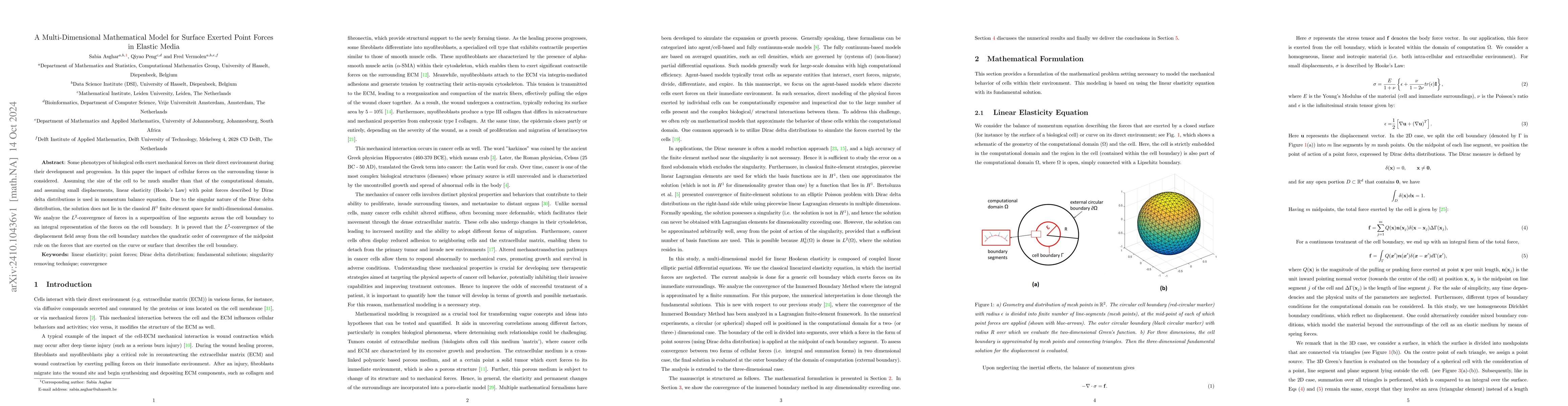 Thumbnail for A Multi-Dimensional Mathematical Model for Surface Exerted Point Forces
  in Elastic Media