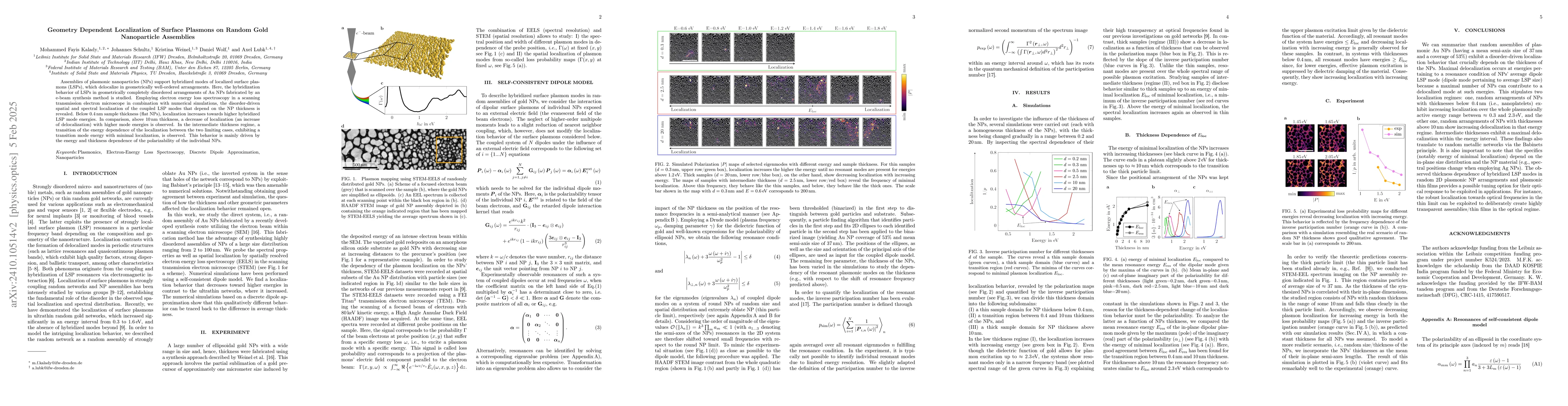 Thumbnail for Localization of Hybridized Surface Plasmon Modes on Random Gold
  Nanoparticle Assemblies