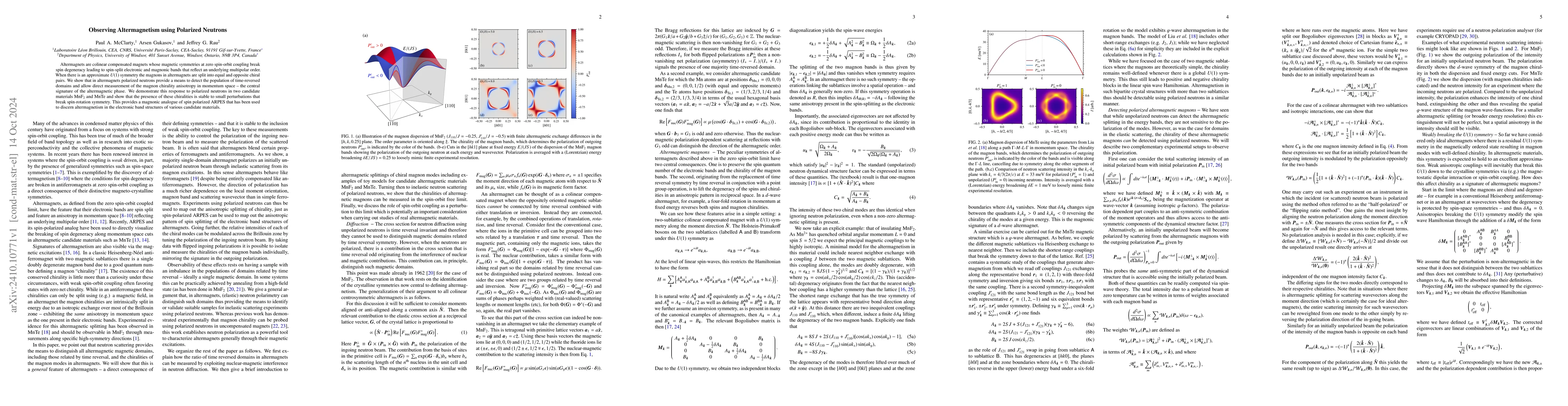 Thumbnail for Observing Altermagnetism using Polarized Neutrons
