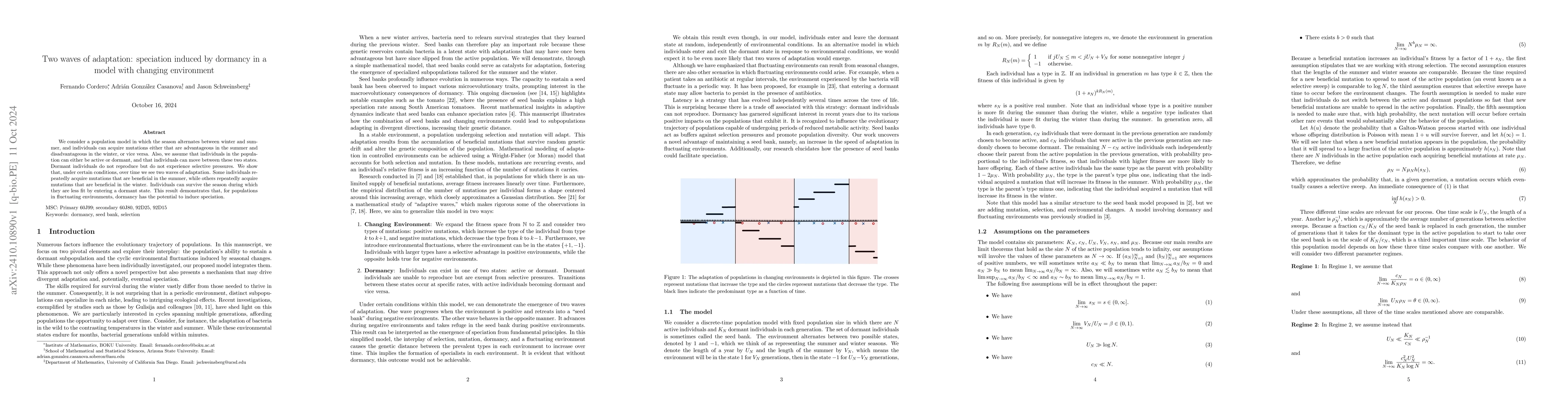 Thumbnail for Two waves of adaptation: speciation induced by dormancy in a model with
  changing environment