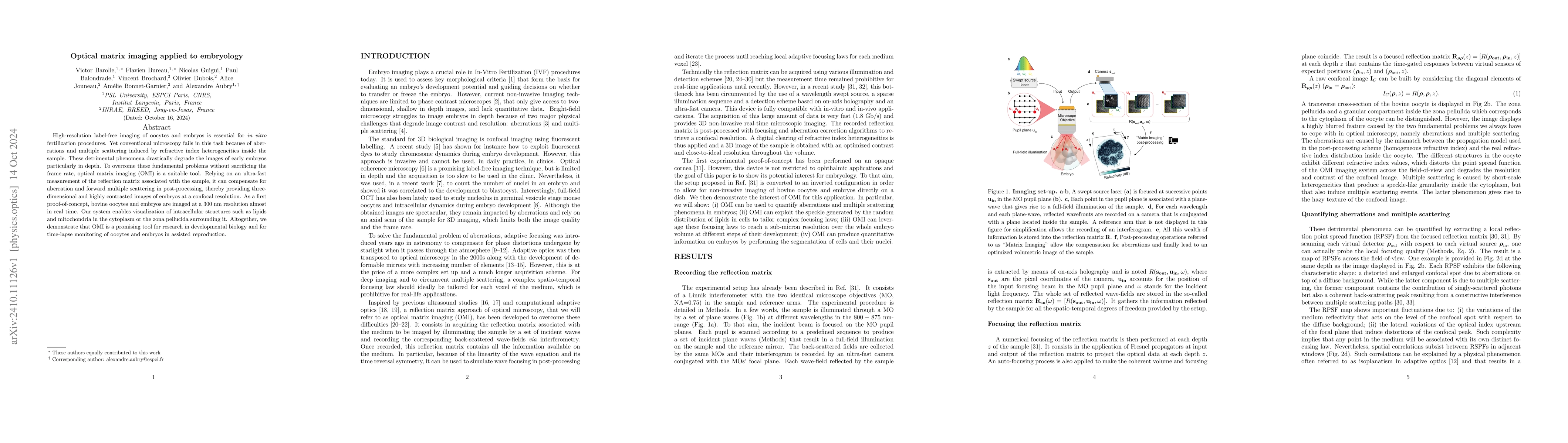 Thumbnail for Optical matrix imaging applied to embryology