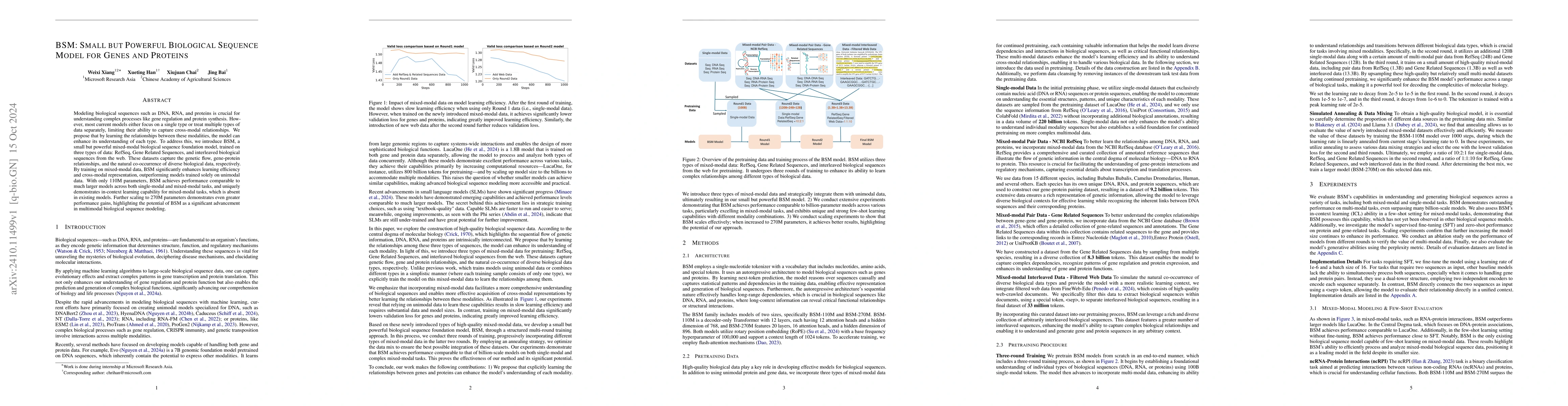 Thumbnail for BSM: Small but Powerful Biological Sequence Model for Genes and Proteins