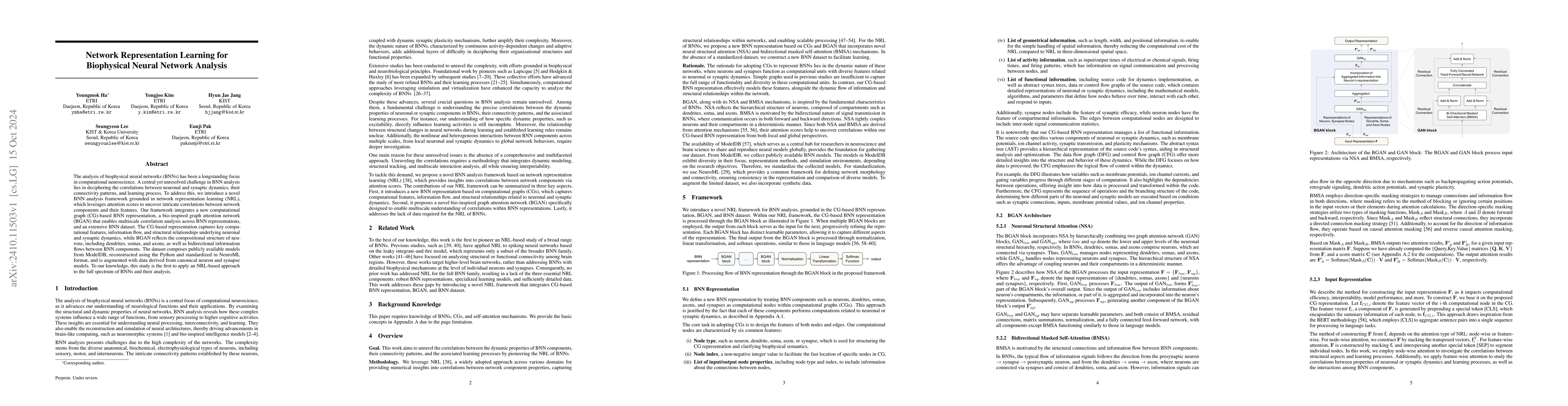 Thumbnail for Network Representation Learning for Biophysical Neural Network Analysis