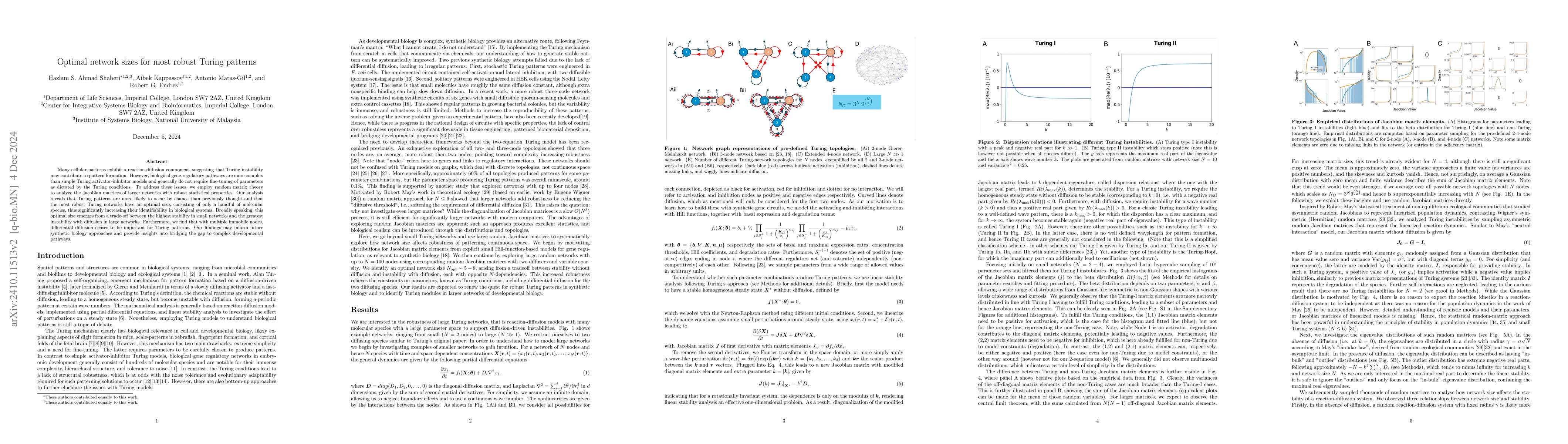 Thumbnail for Optimal network sizes for most robust Turing patterns