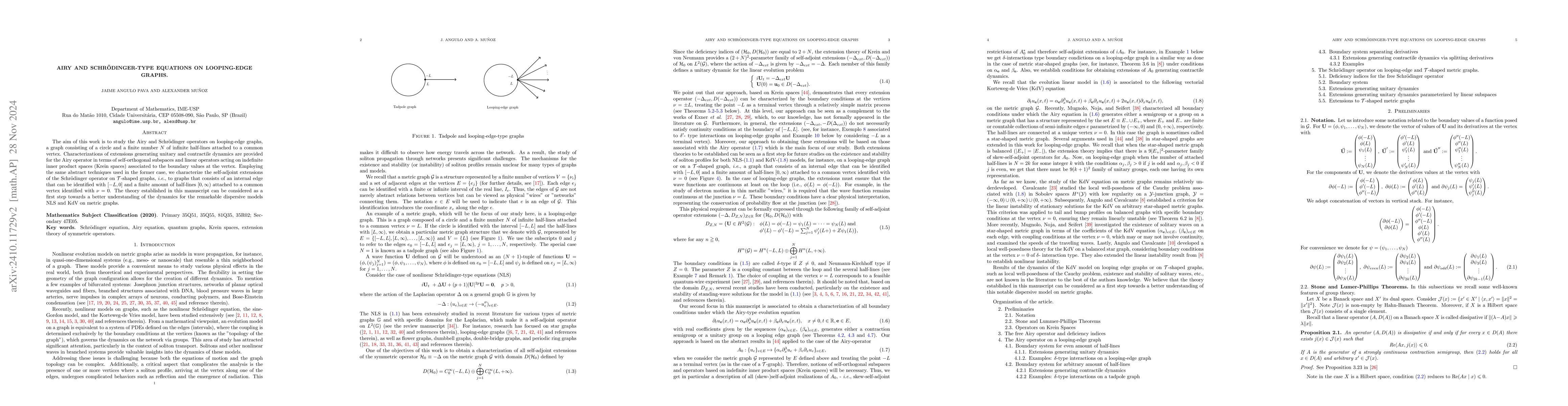 Thumbnail for Airy and Schrödinger-type equations on looping-edge graphs