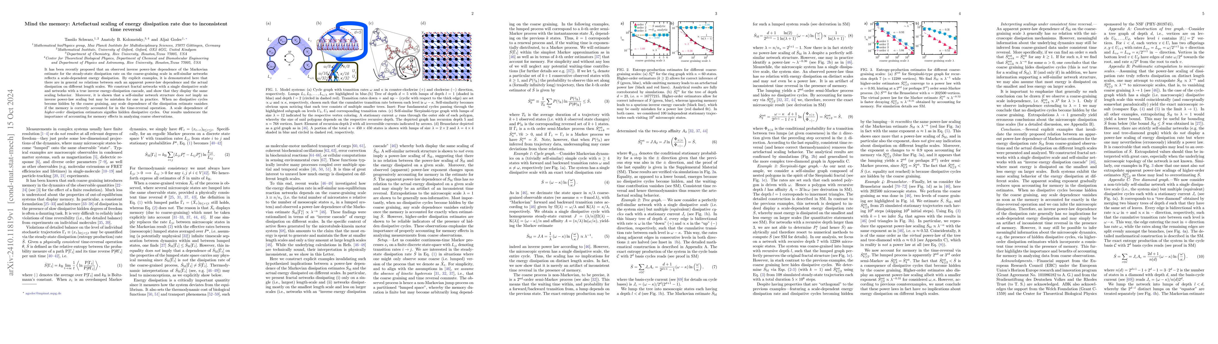 Thumbnail for Mind the memory: Artefactual scaling of energy dissipation rate due to
  inconsistent time reversal