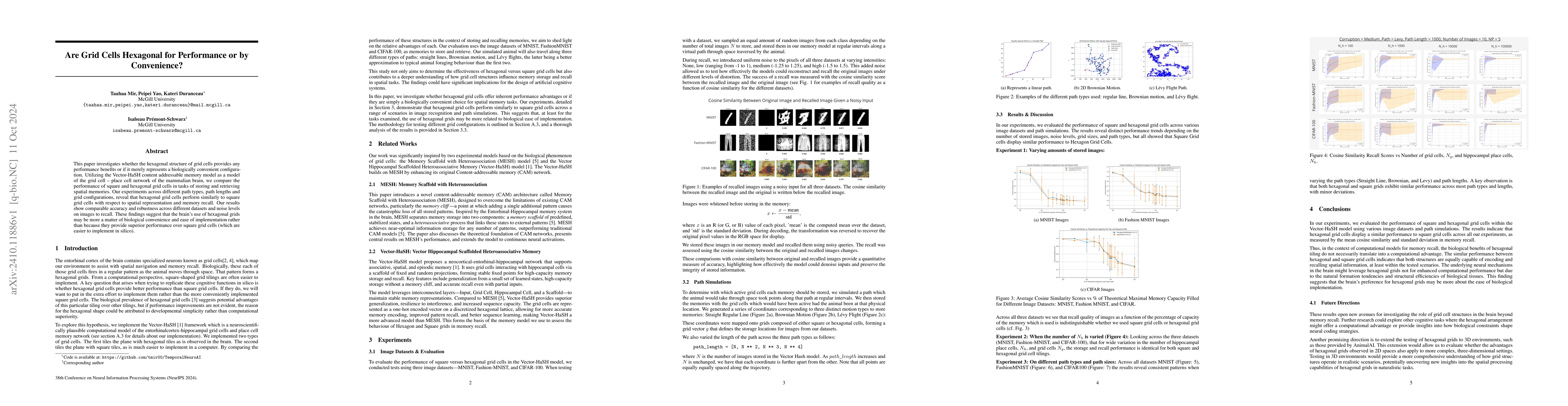 Thumbnail for Are Grid Cells Hexagonal for Performance or by Convenience?