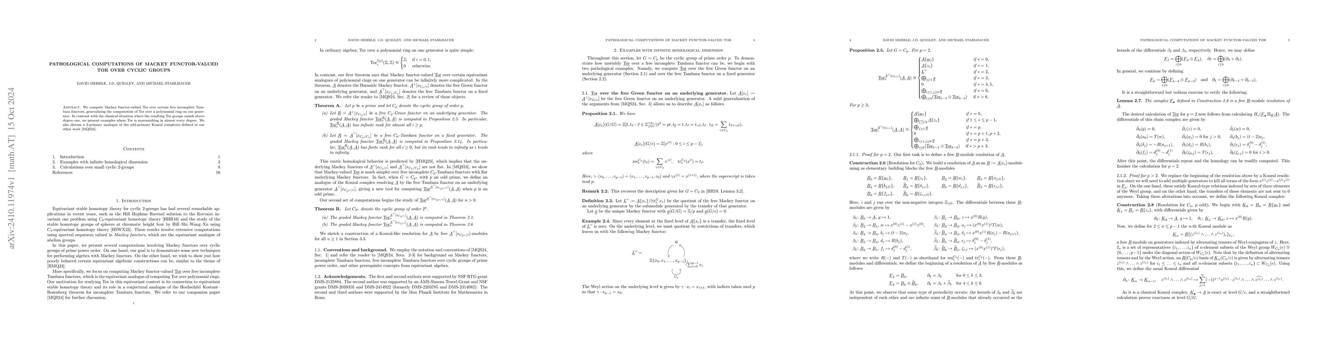 Thumbnail for Pathological Computations of Mackey Functor-valued Tor over Cyclic
  Groups