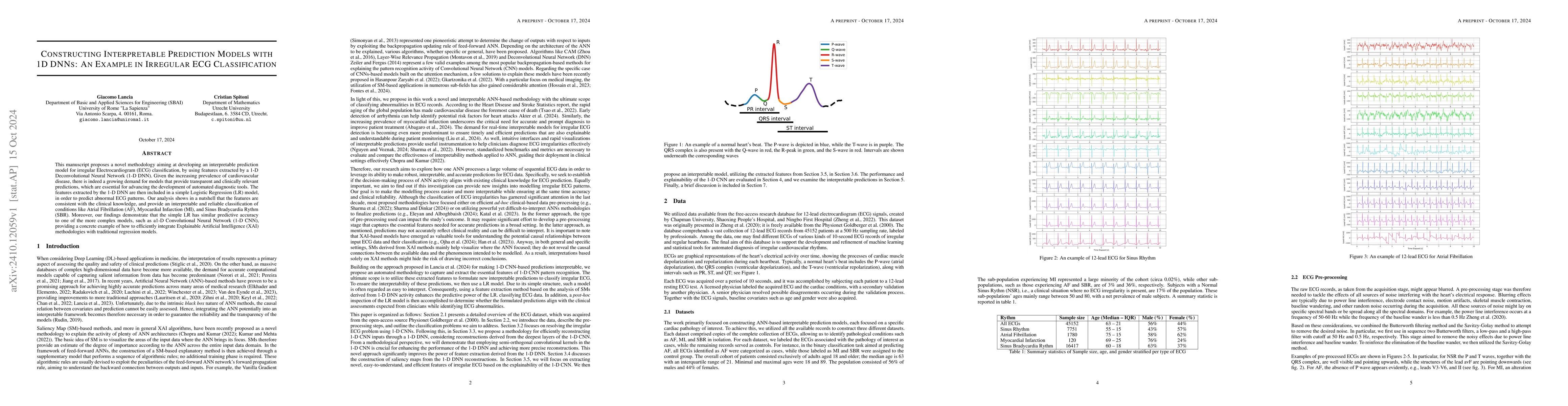 Thumbnail for Constructing Interpretable Prediction Models with 1D DNNs: An Example in
  Irregular ECG Classification