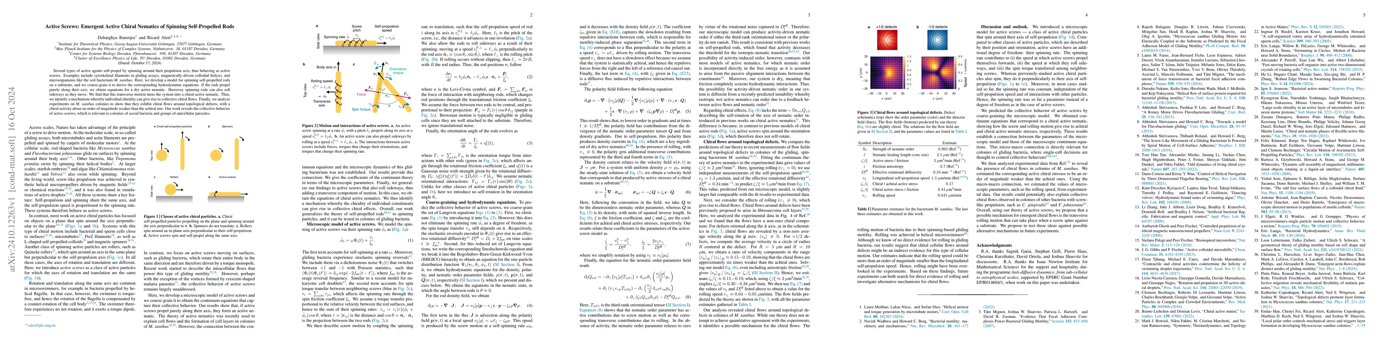 Thumbnail for Active Screws: Emergent Active Chiral Nematics of Spinning
  Self-Propelled Rods