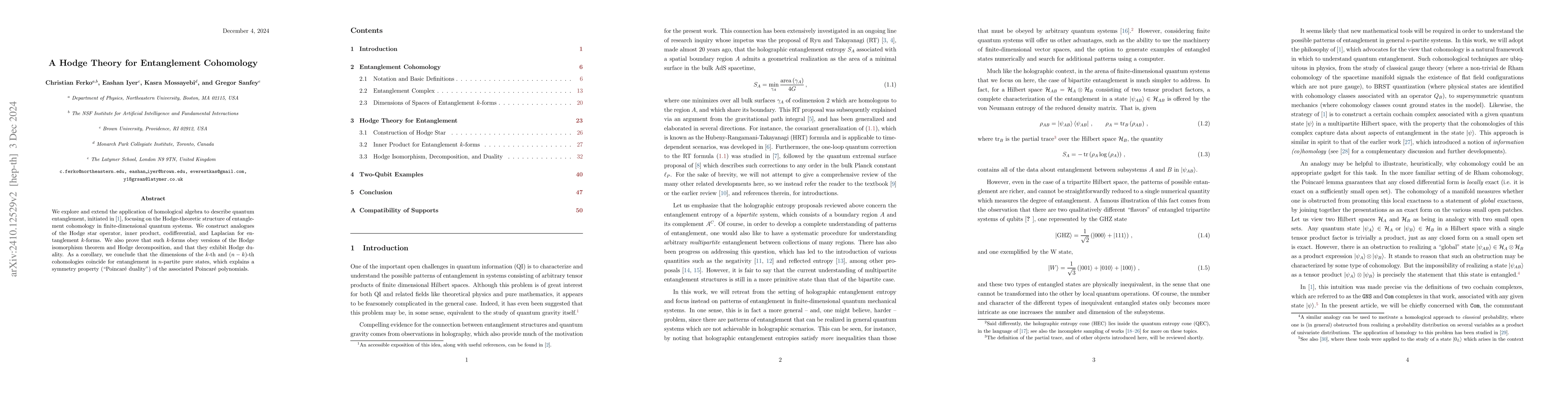 Thumbnail for A Hodge Theory for Entanglement Cohomology