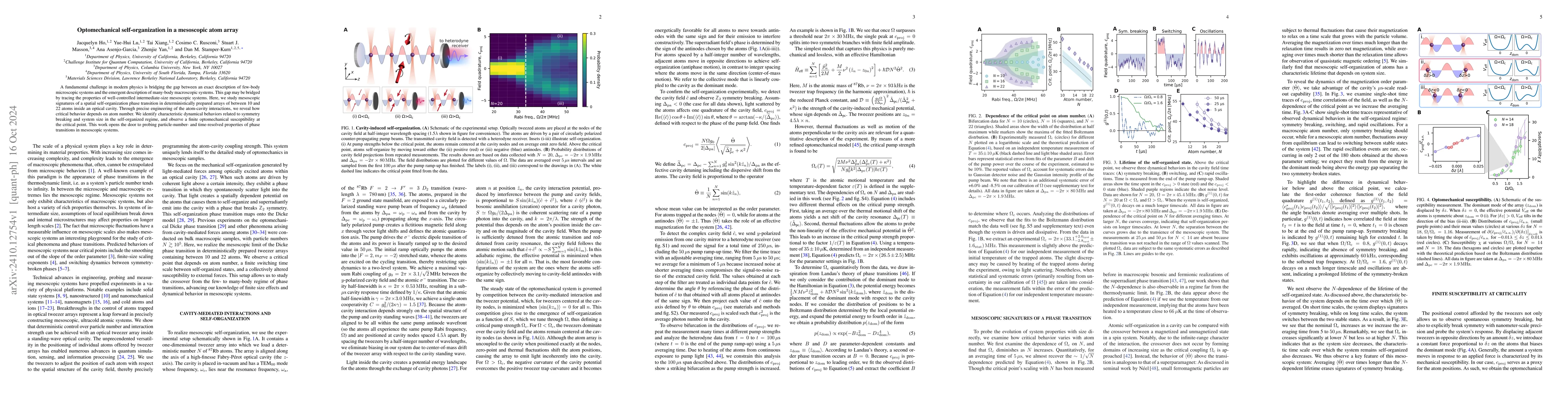 Thumbnail for Optomechanical self-organization in a mesoscopic atom array