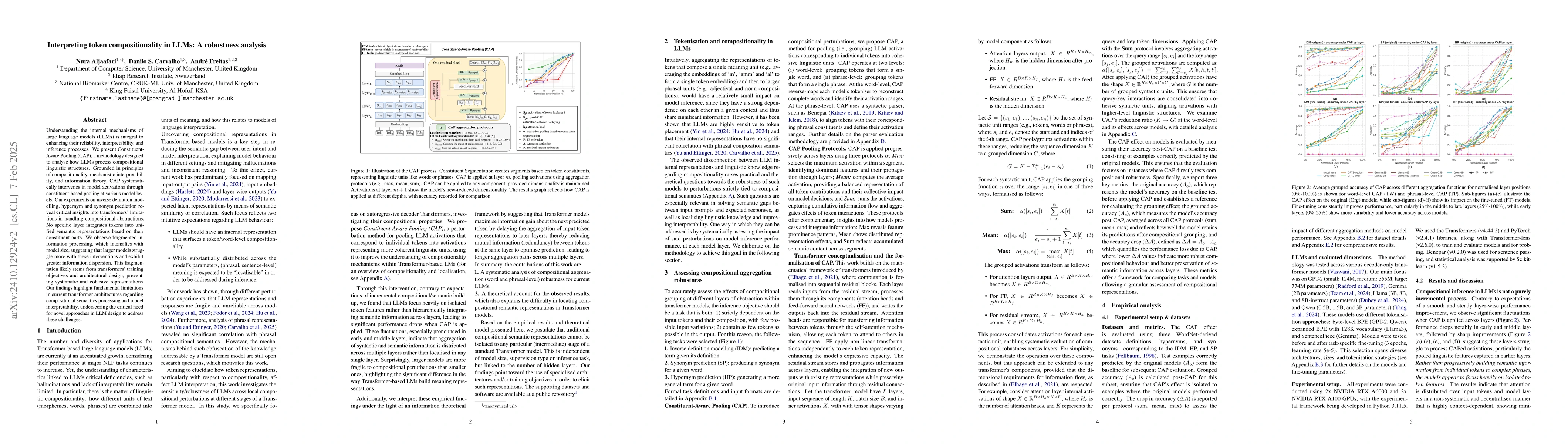 Thumbnail for Interpreting token compositionality in LLMs: A robustness analysis