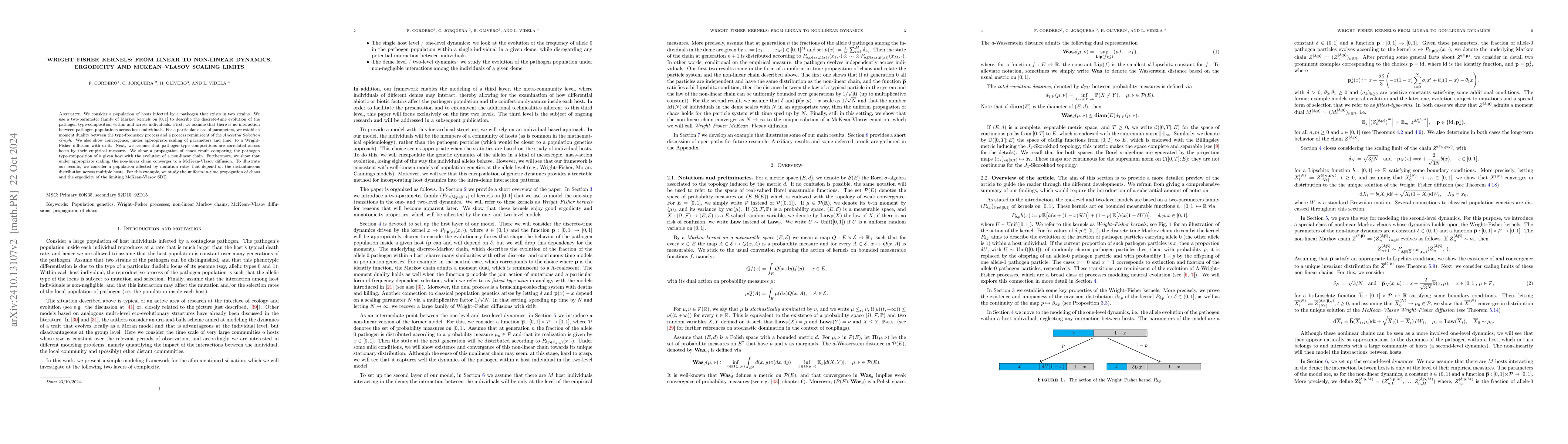 Thumbnail for Wright--Fisher kernels: from linear to non-linear dynamics, ergodicity
  and McKean--Vlasov scaling limits