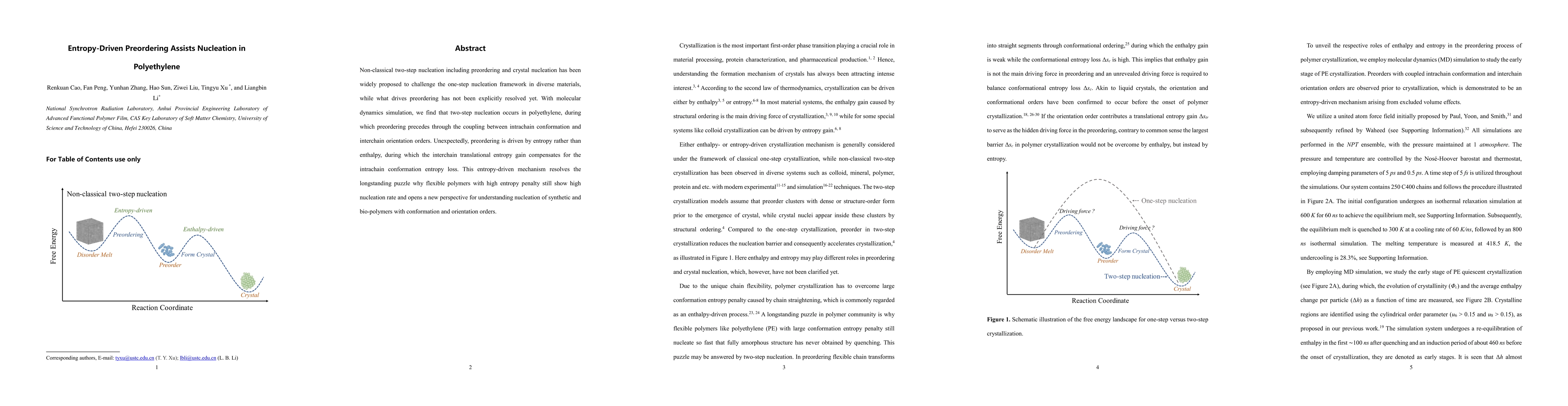 Thumbnail for Entropy-Driven Preordering Assists Nucleation in Polyethylene