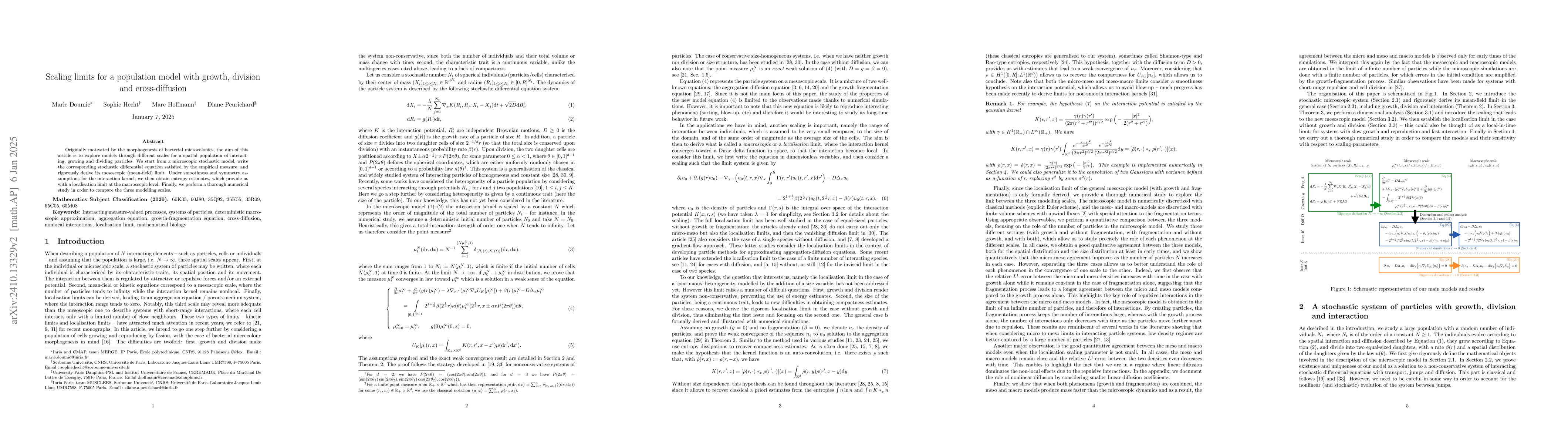 Thumbnail for Scaling limits for a population model with growth, division and
  cross-diffusion