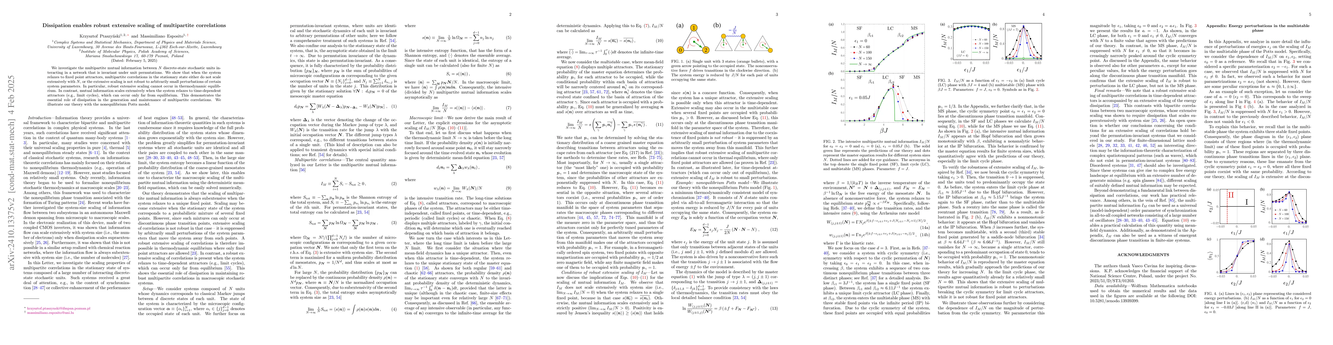 Thumbnail for Dissipation enables robust extensive scaling of multipartite
  correlations