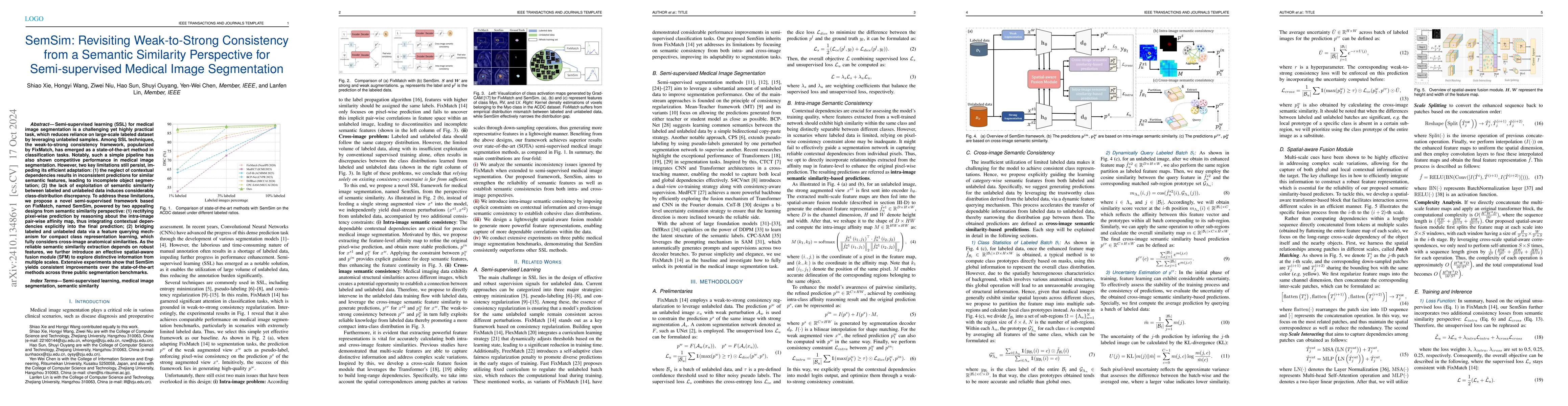 Thumbnail for SemSim: Revisiting Weak-to-Strong Consistency from a Semantic Similarity
  Perspective for Semi-supervised Medical Image Segmentation