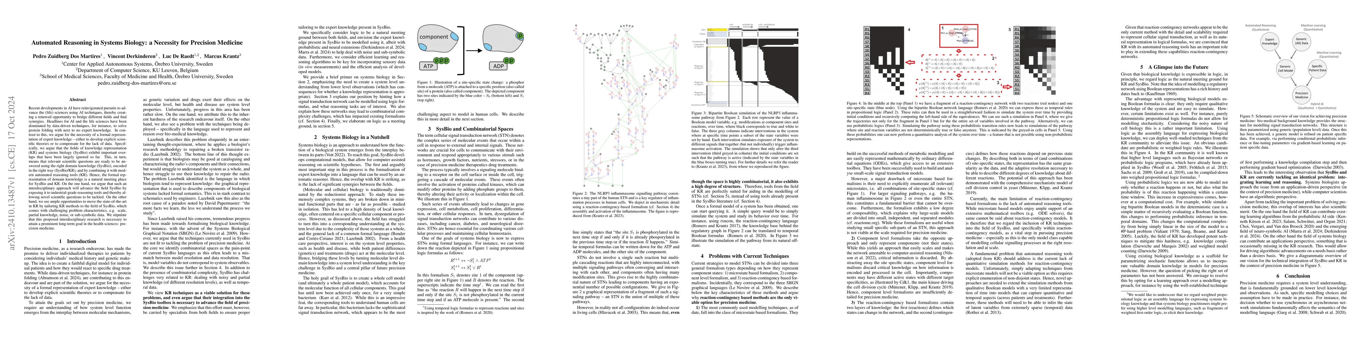Thumbnail for Automated Reasoning in Systems Biology: a Necessity for Precision
  Medicine